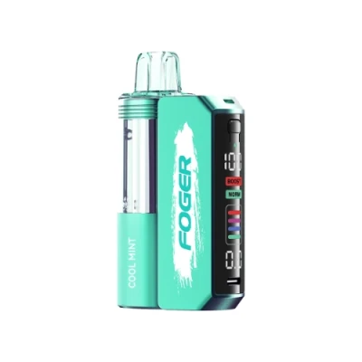 Cool Mint | Blue Razz ice | Foger Switch Pro Kit 5% - 30K Puffs Disposable Vape